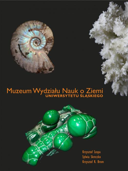 Muzeum Wydziau Nauk o Ziemi Uniwersytetu lskiego