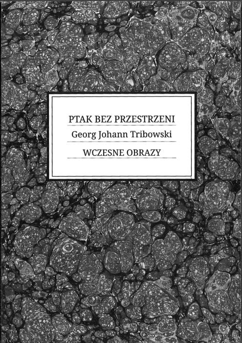 Ptak bez przestrzeni. Georg Johann Tribowski. Wczesne obrazy.